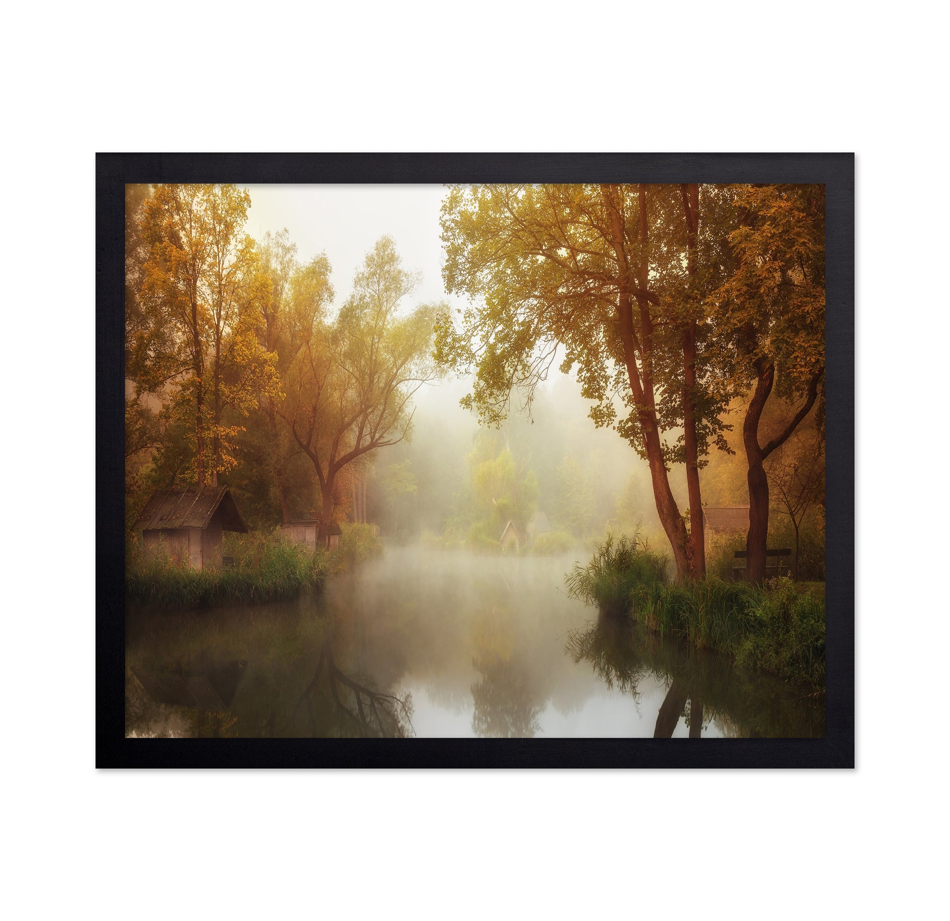 Foggy Autumn