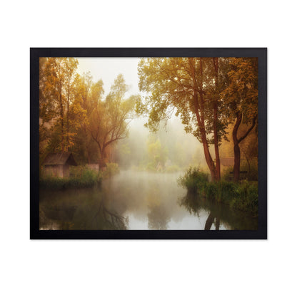 Foggy Autumn