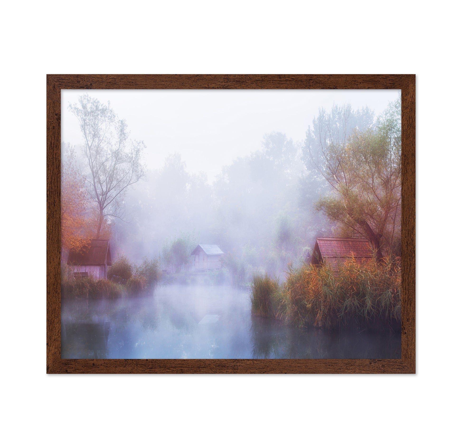 Foggy Mornings on the Lake