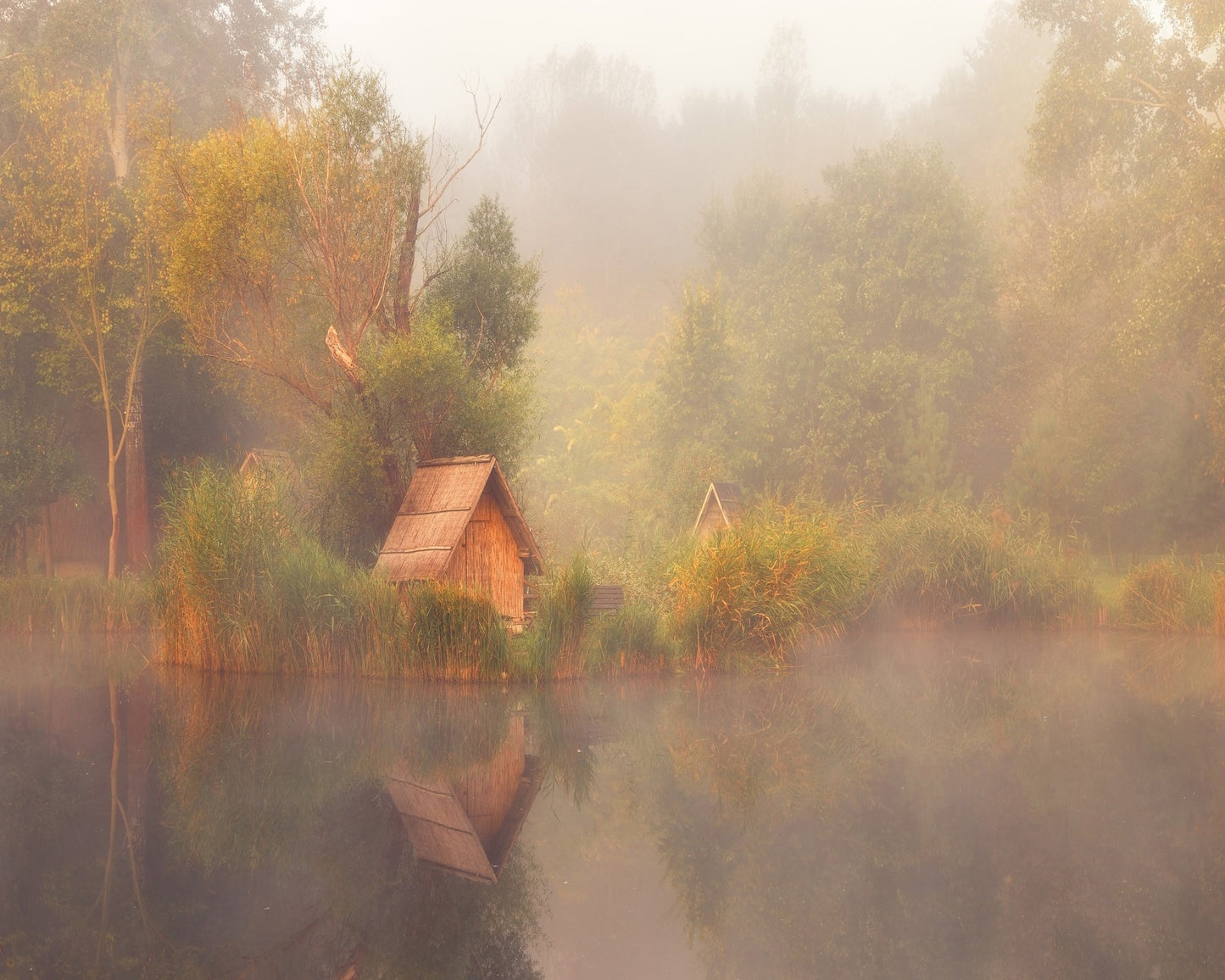 Dreamscape