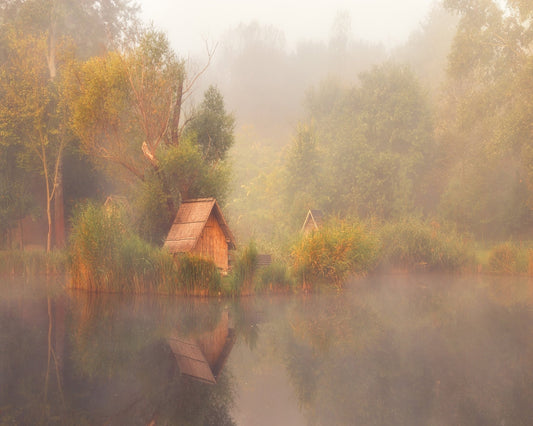Dreamscape