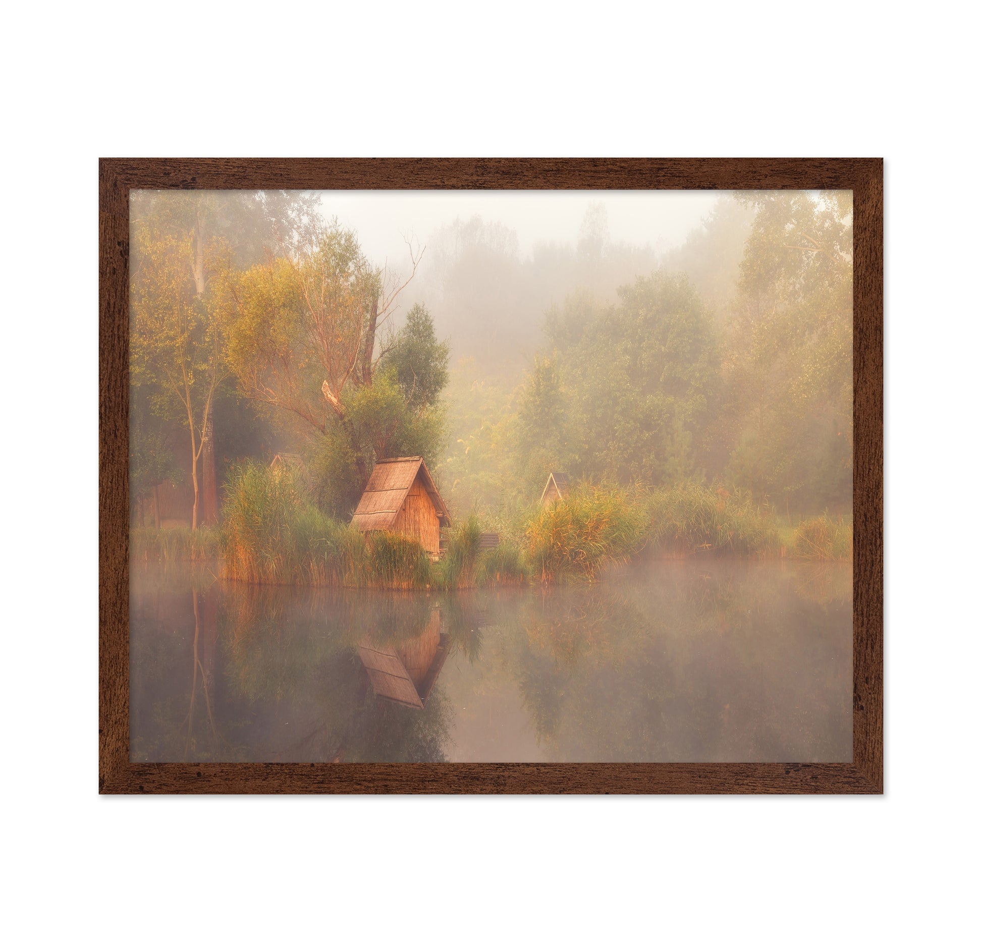 Dreamscape