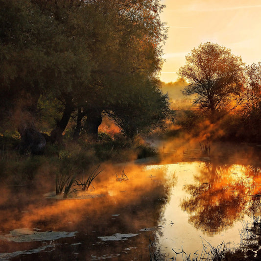 When Nature Paint With Light