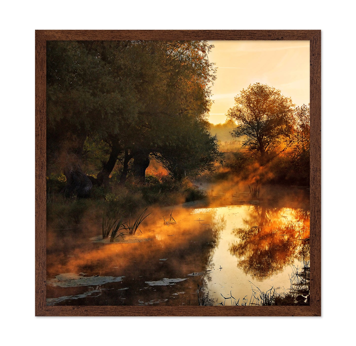 When Nature Paint With Light
