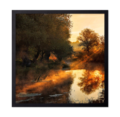 When Nature Paint With Light