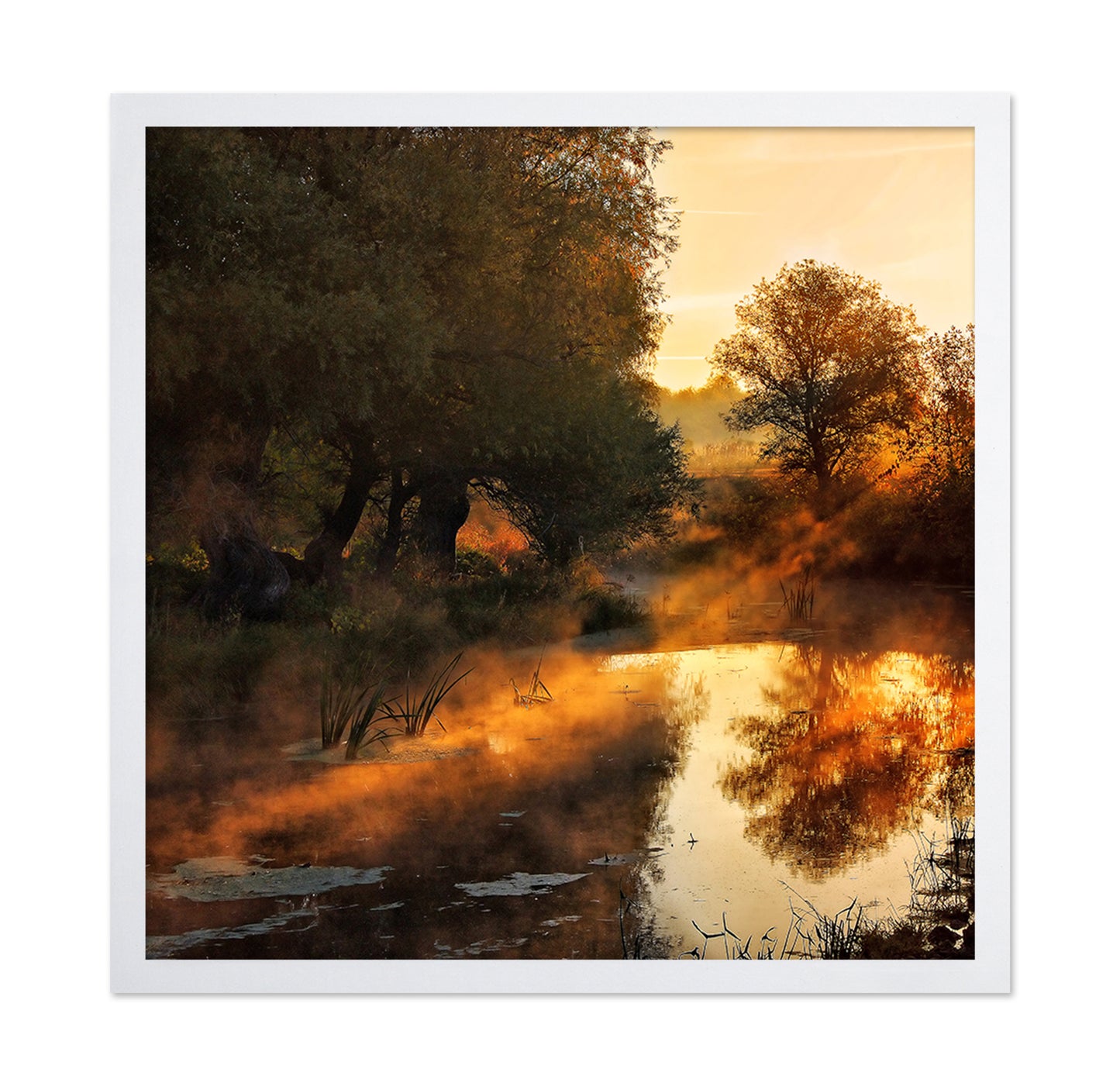 When Nature Paint With Light