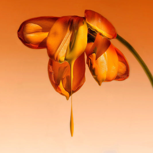 Tears Of A Flower