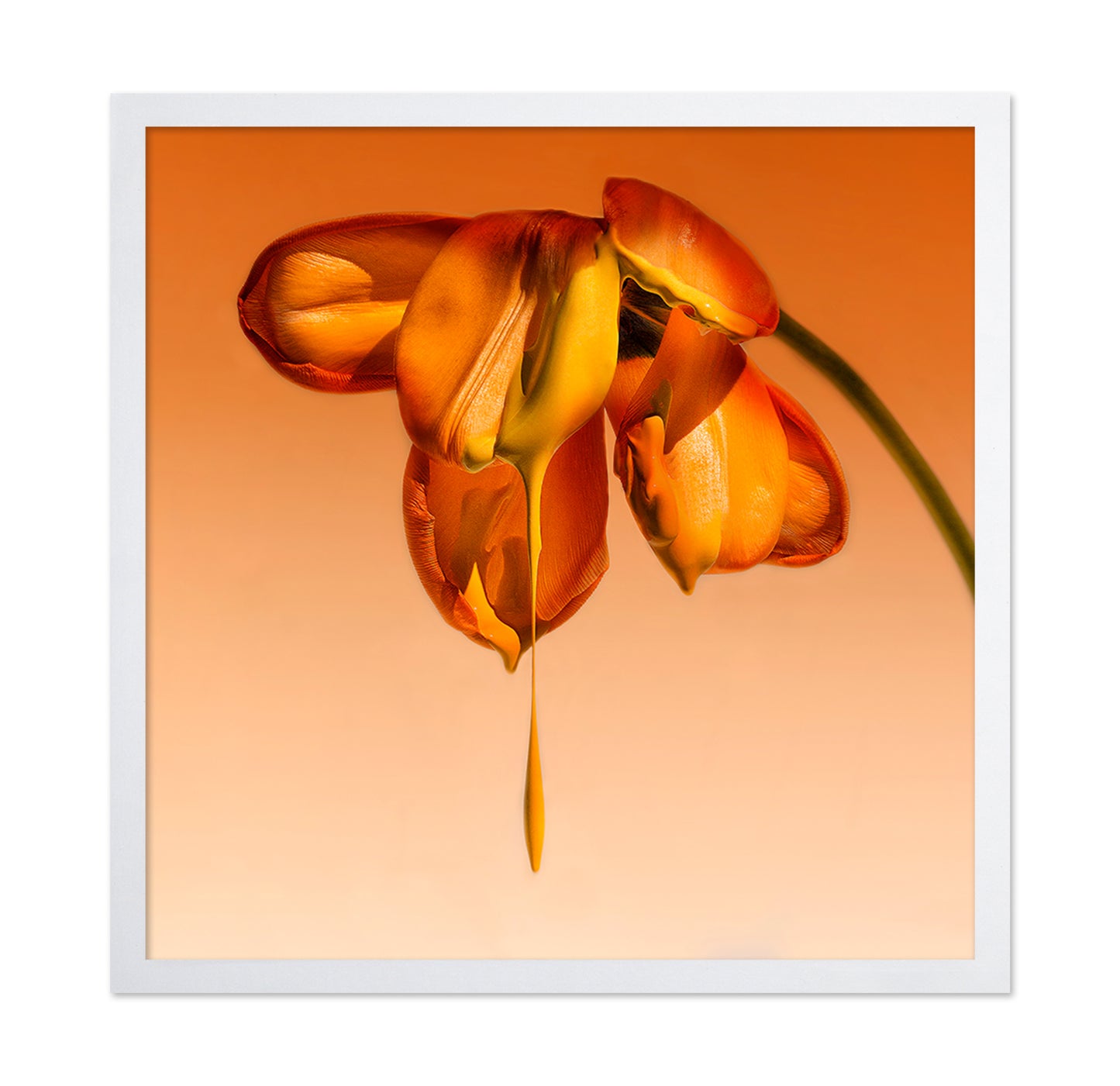 Tears Of A Flower