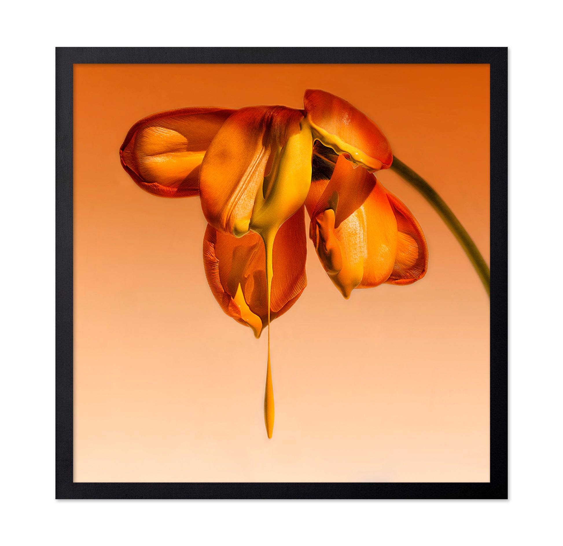 Tears Of A Flower