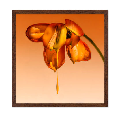 Tears Of A Flower