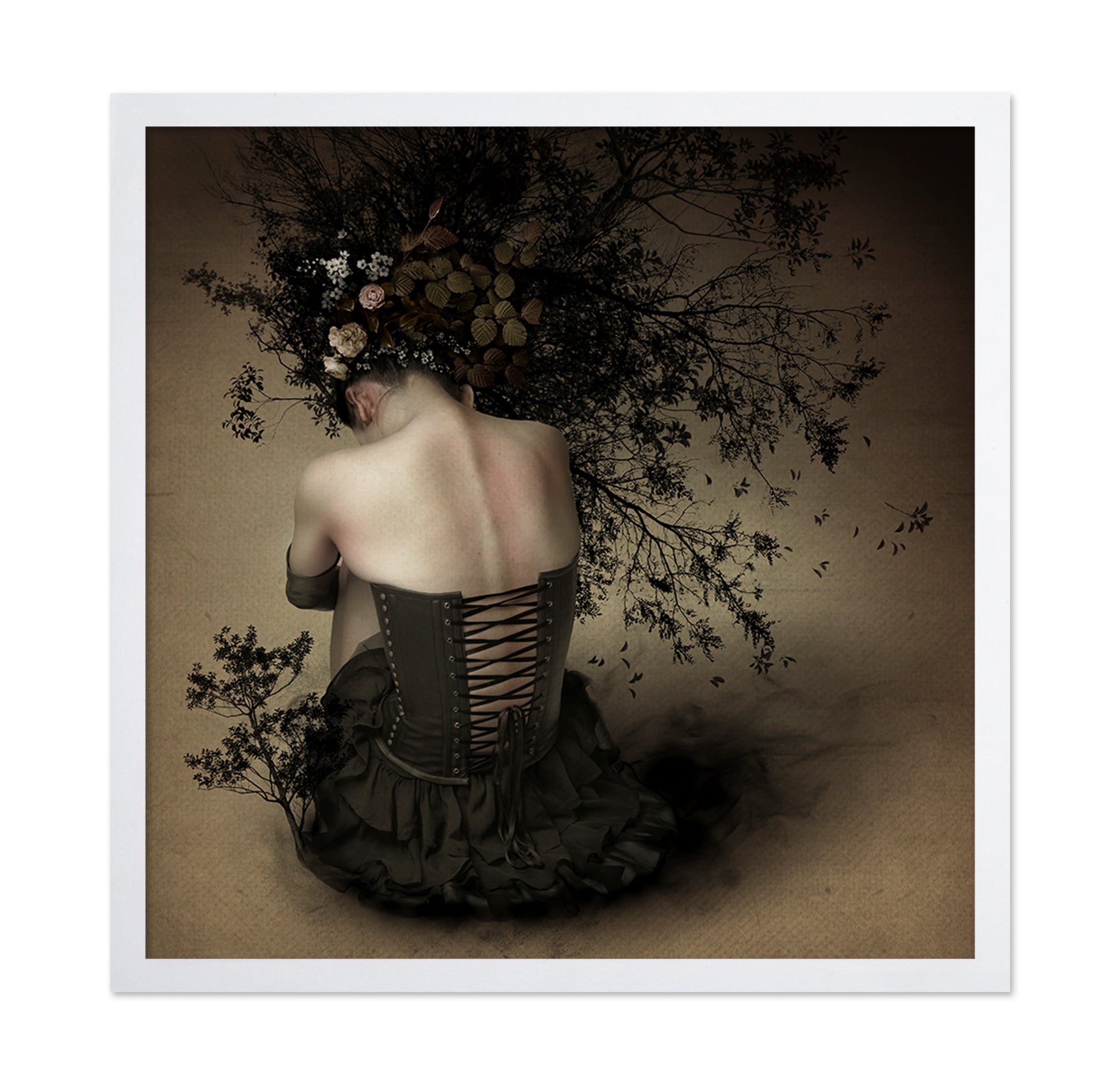 Night Scented Girl