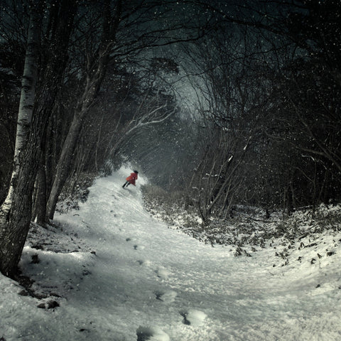 Into The Winter Forest