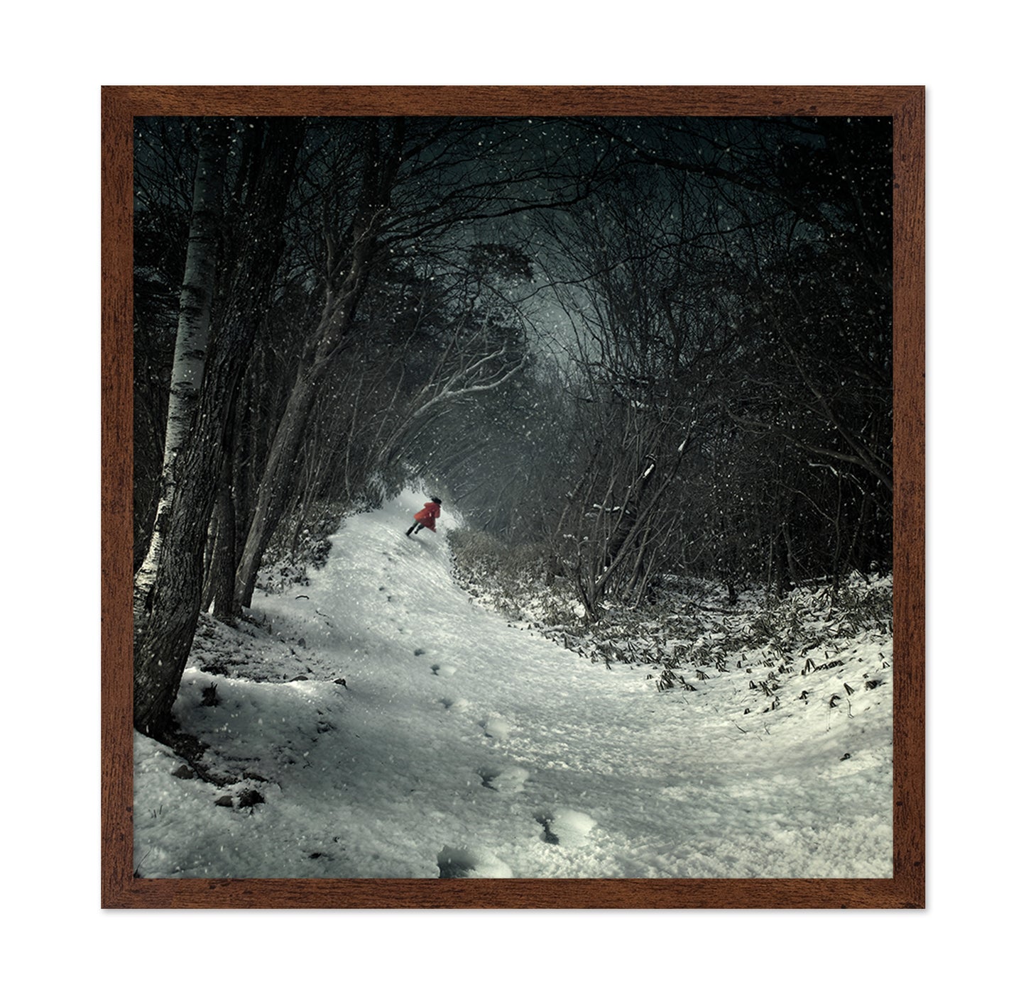 Into The Winter Forest