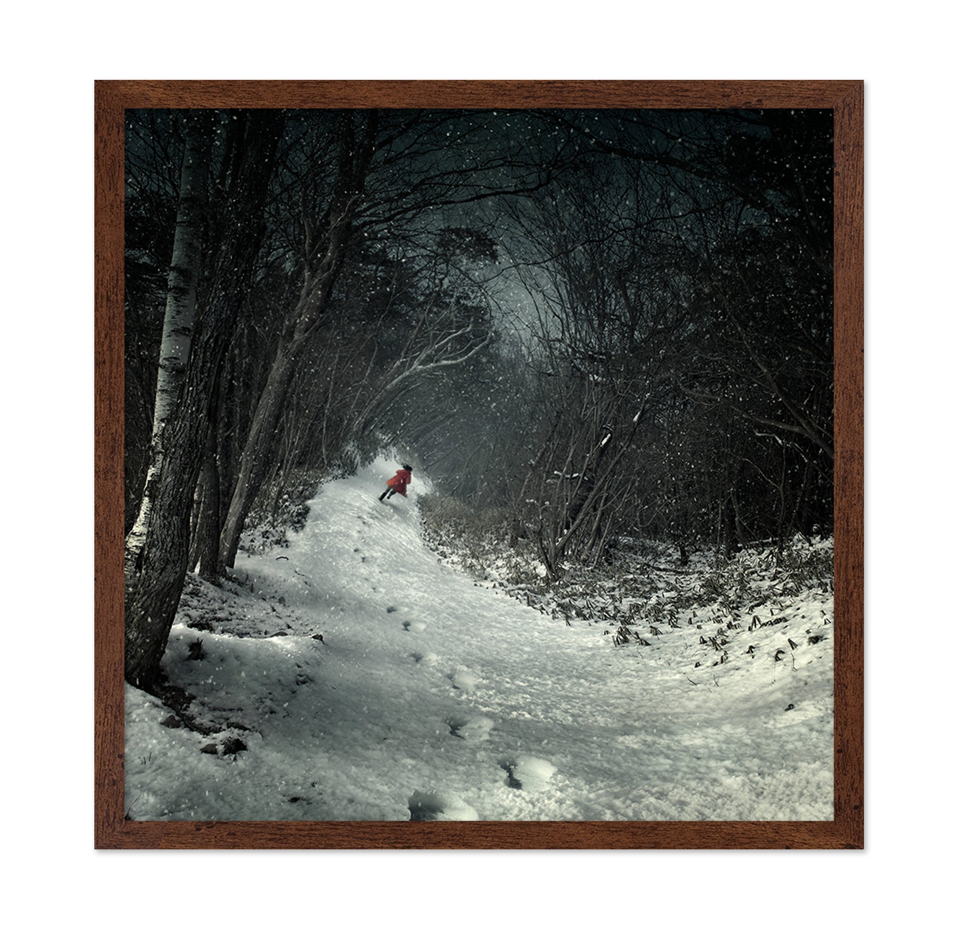 Into The Winter Forest