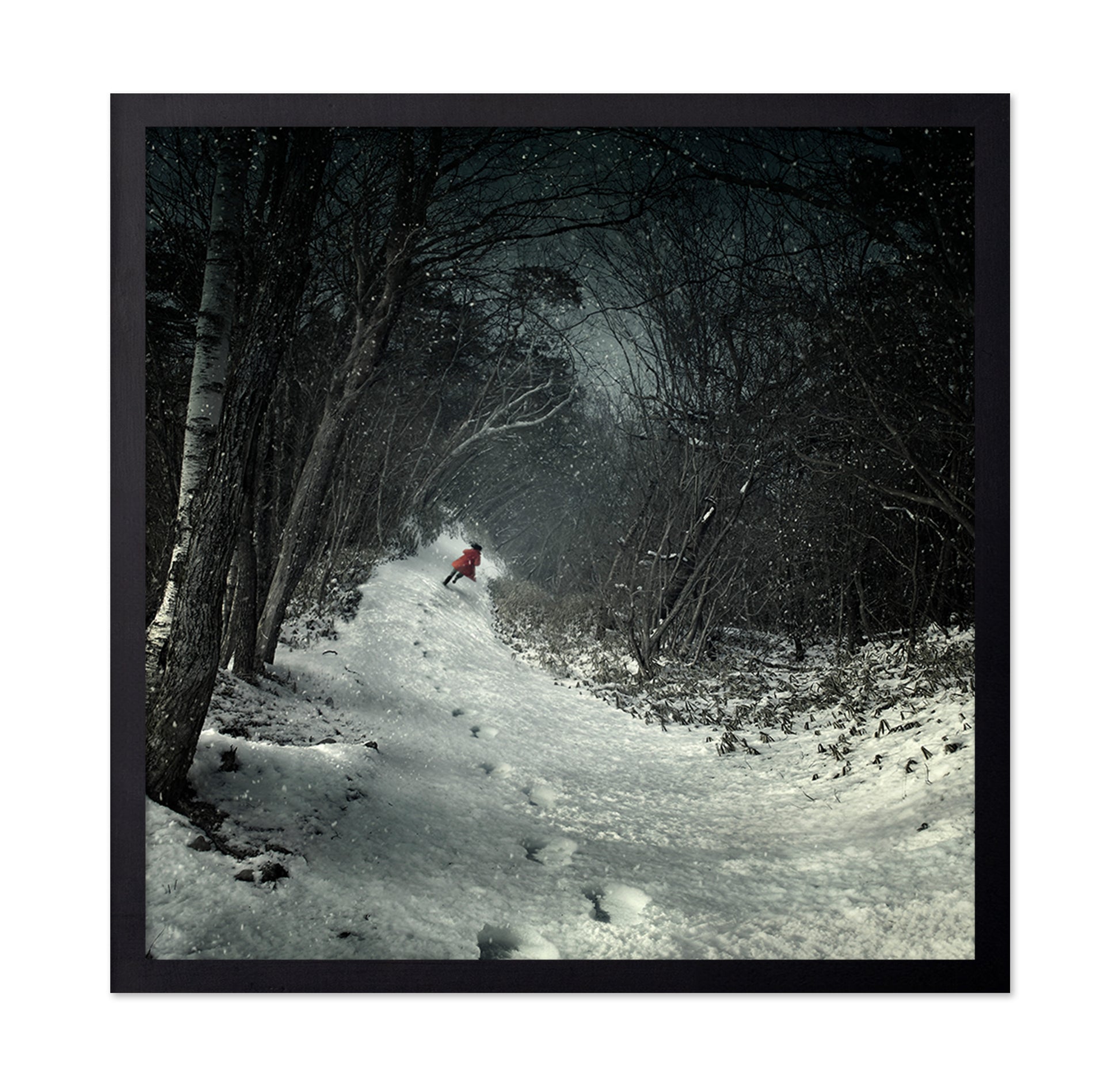 Into The Winter Forest