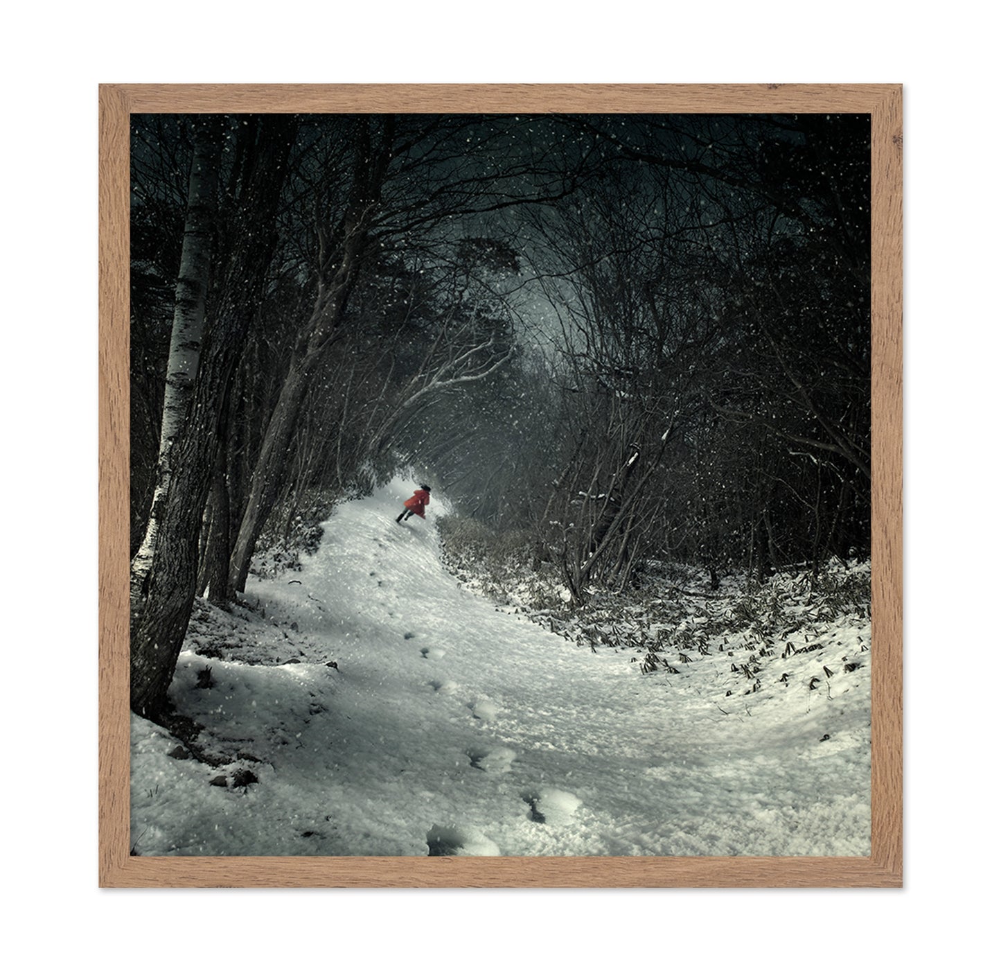 Into The Winter Forest