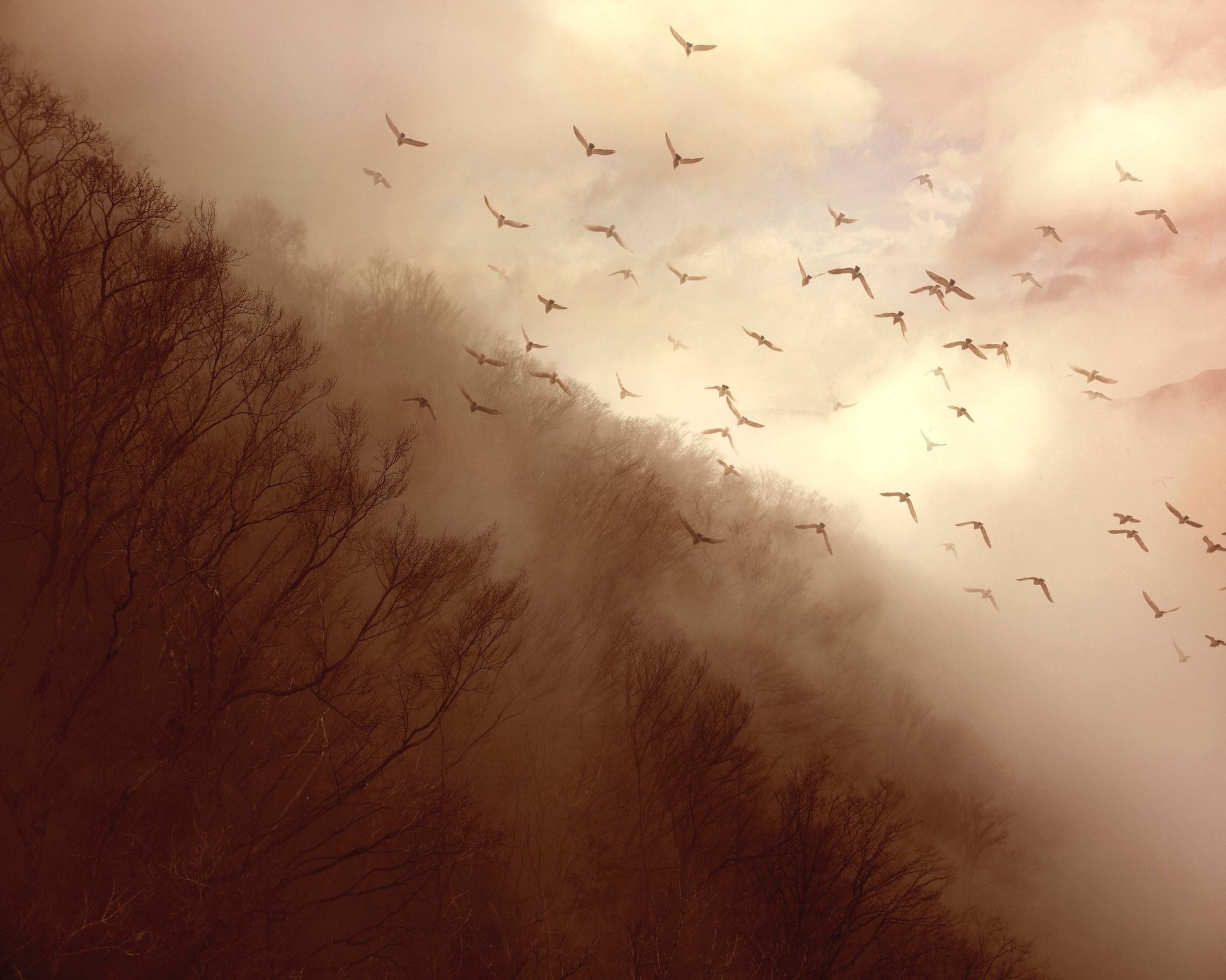 Departure