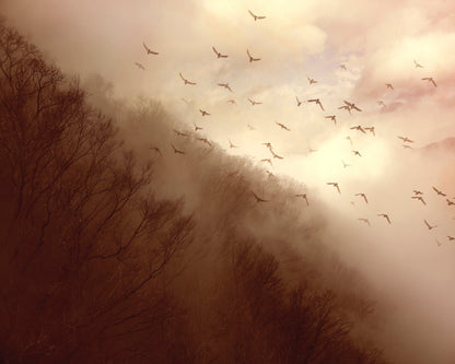 Departure
