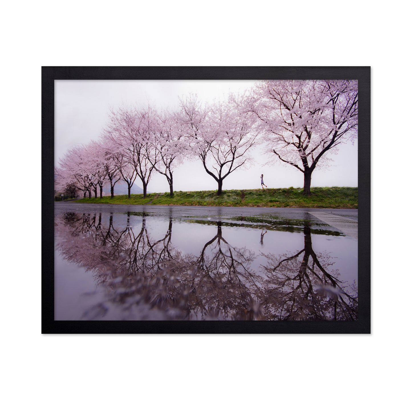 Rain of spring