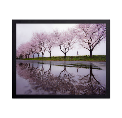 Rain of spring
