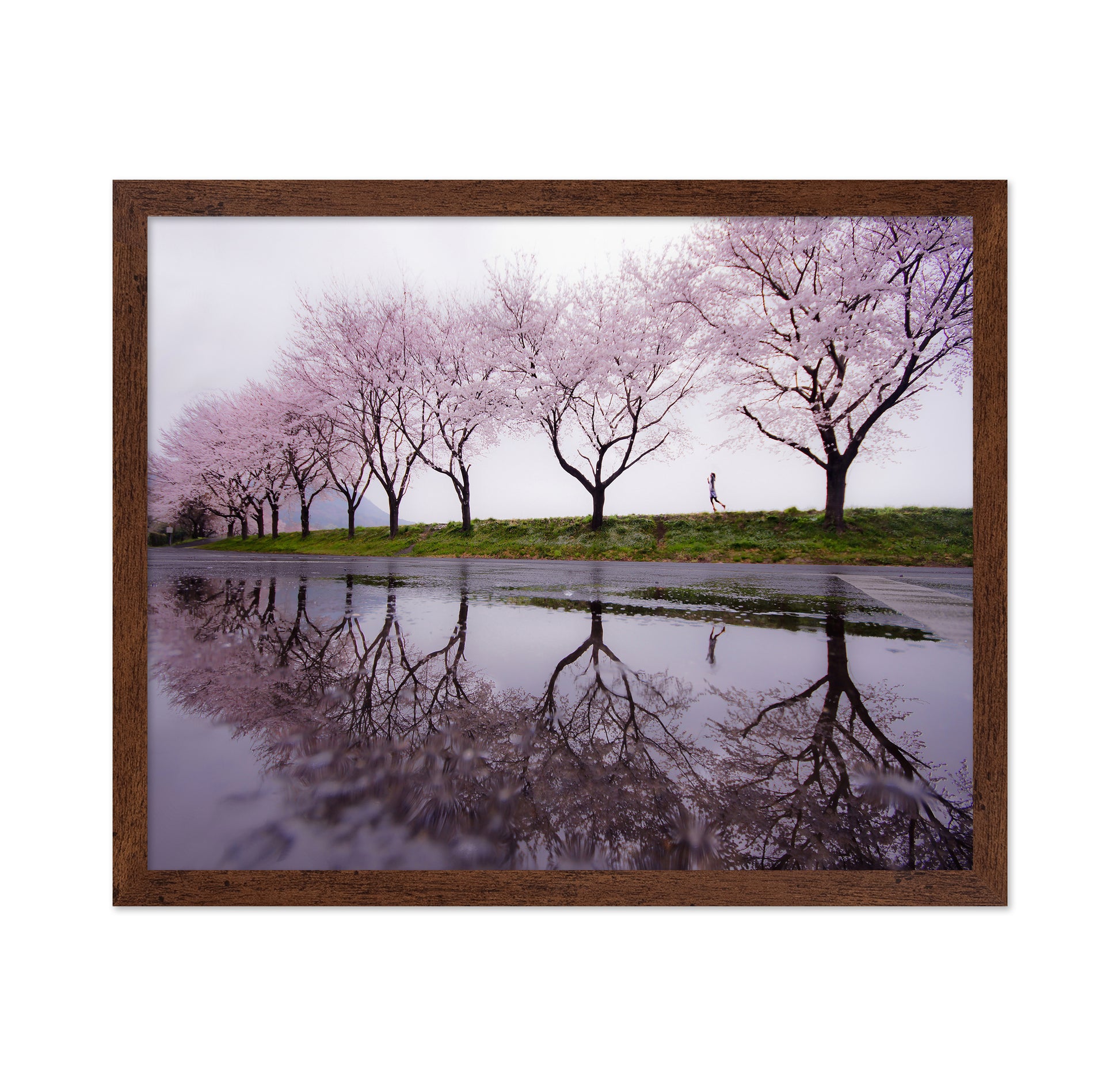 Rain of spring