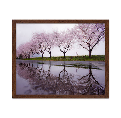 Rain of spring