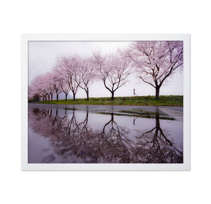Rain of spring