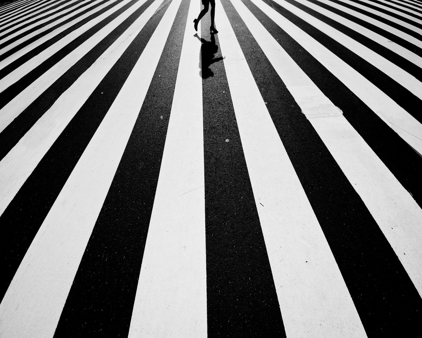 Crossing Stripes