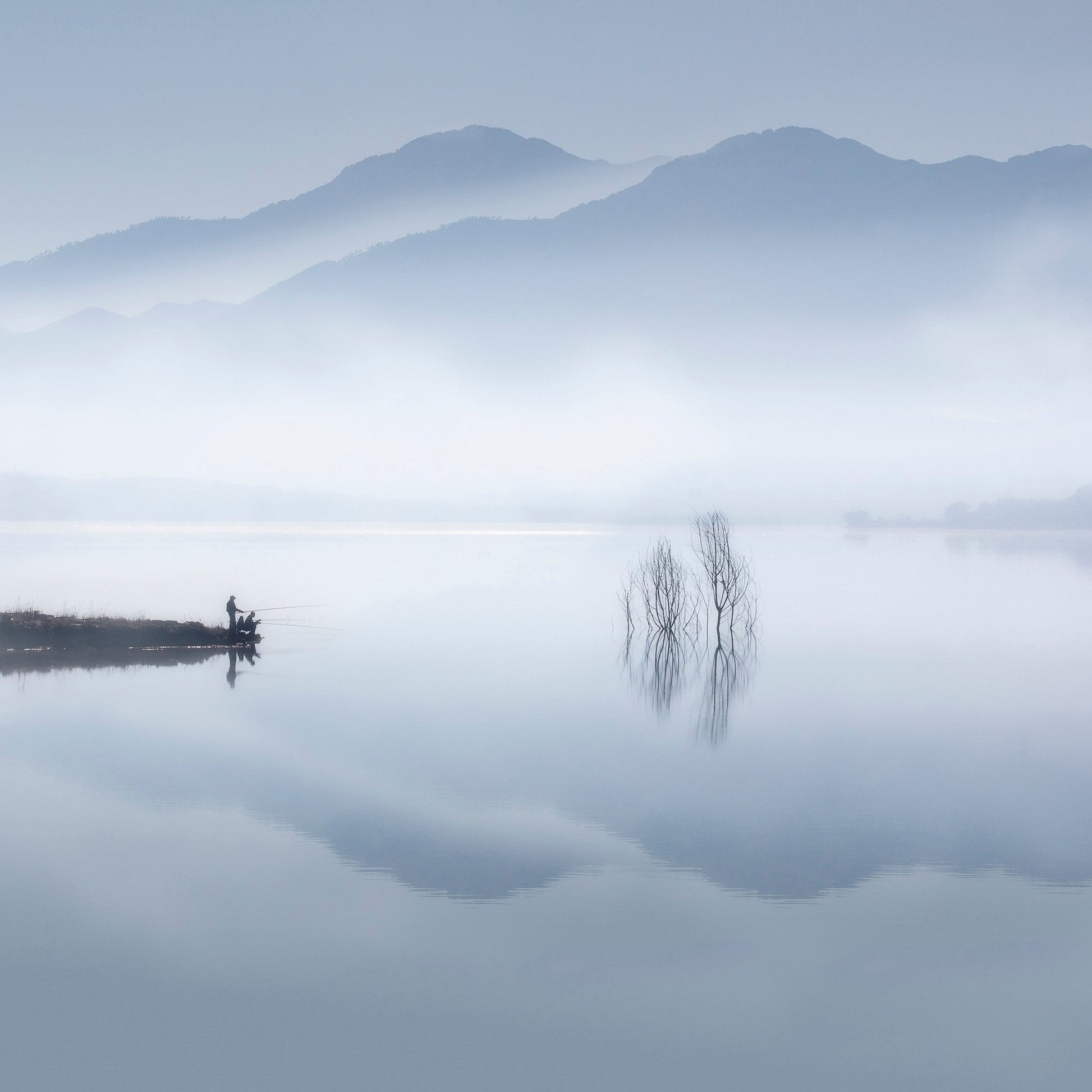 Blue Silence