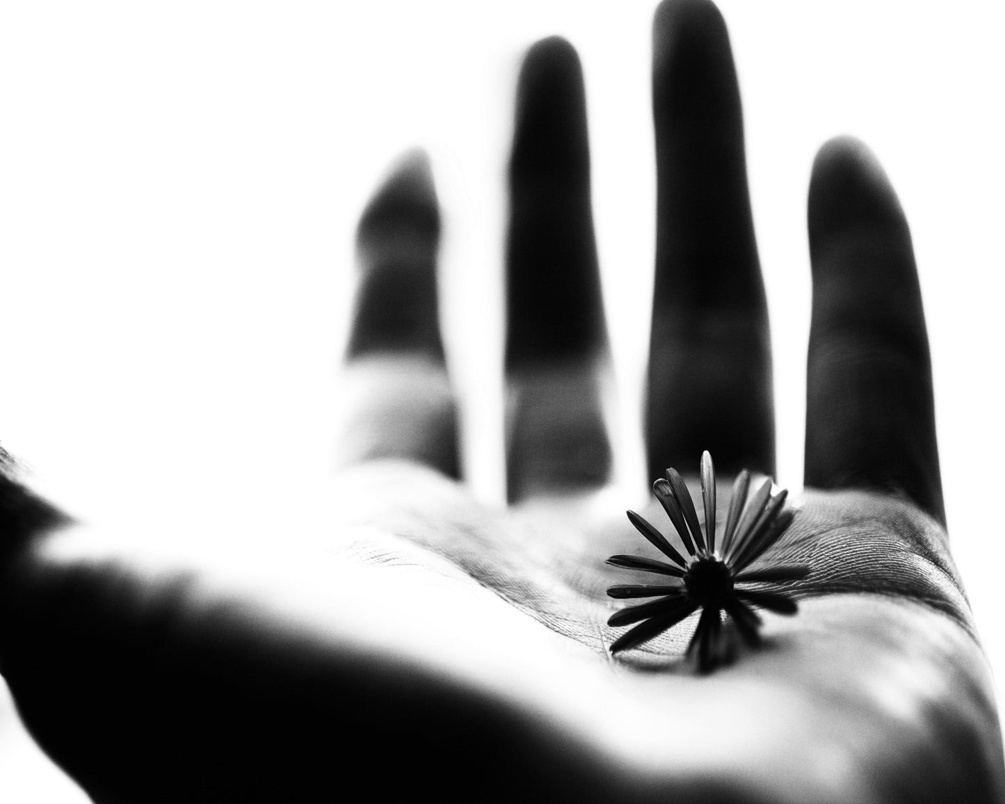 One Life