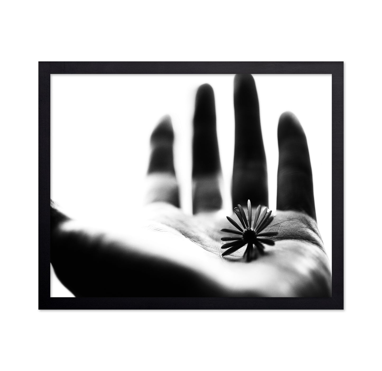 One Life