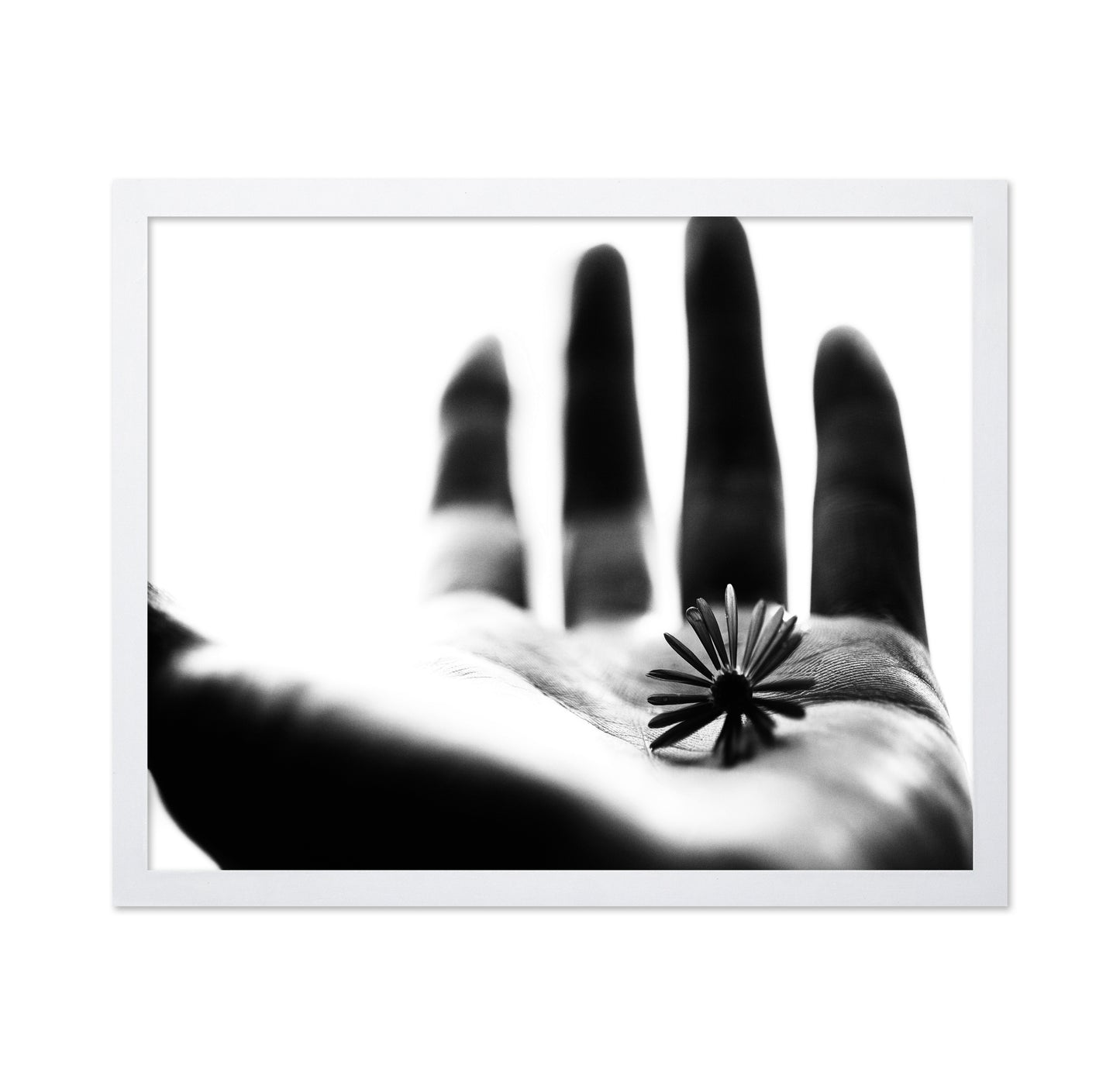 One Life