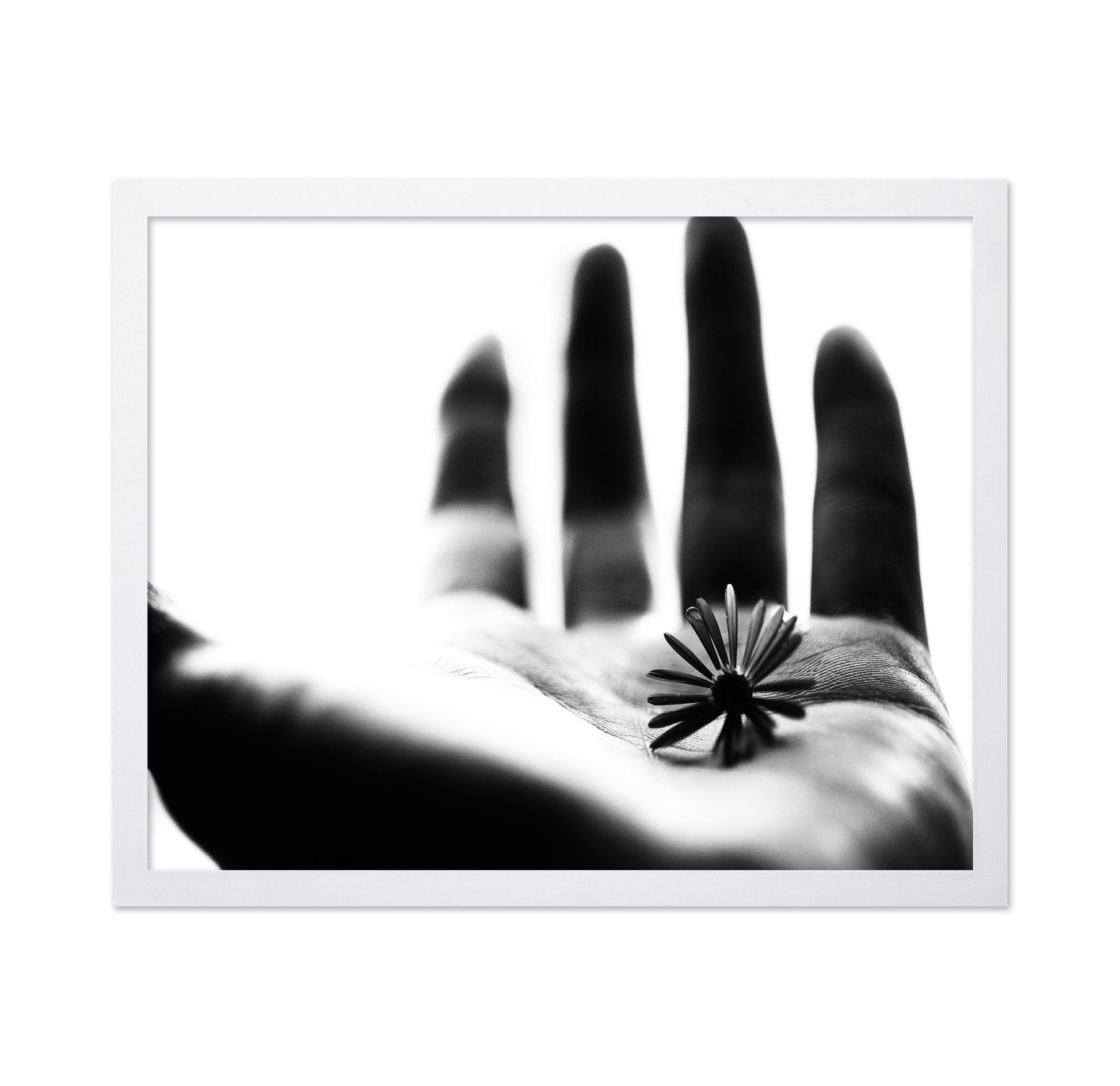 One Life