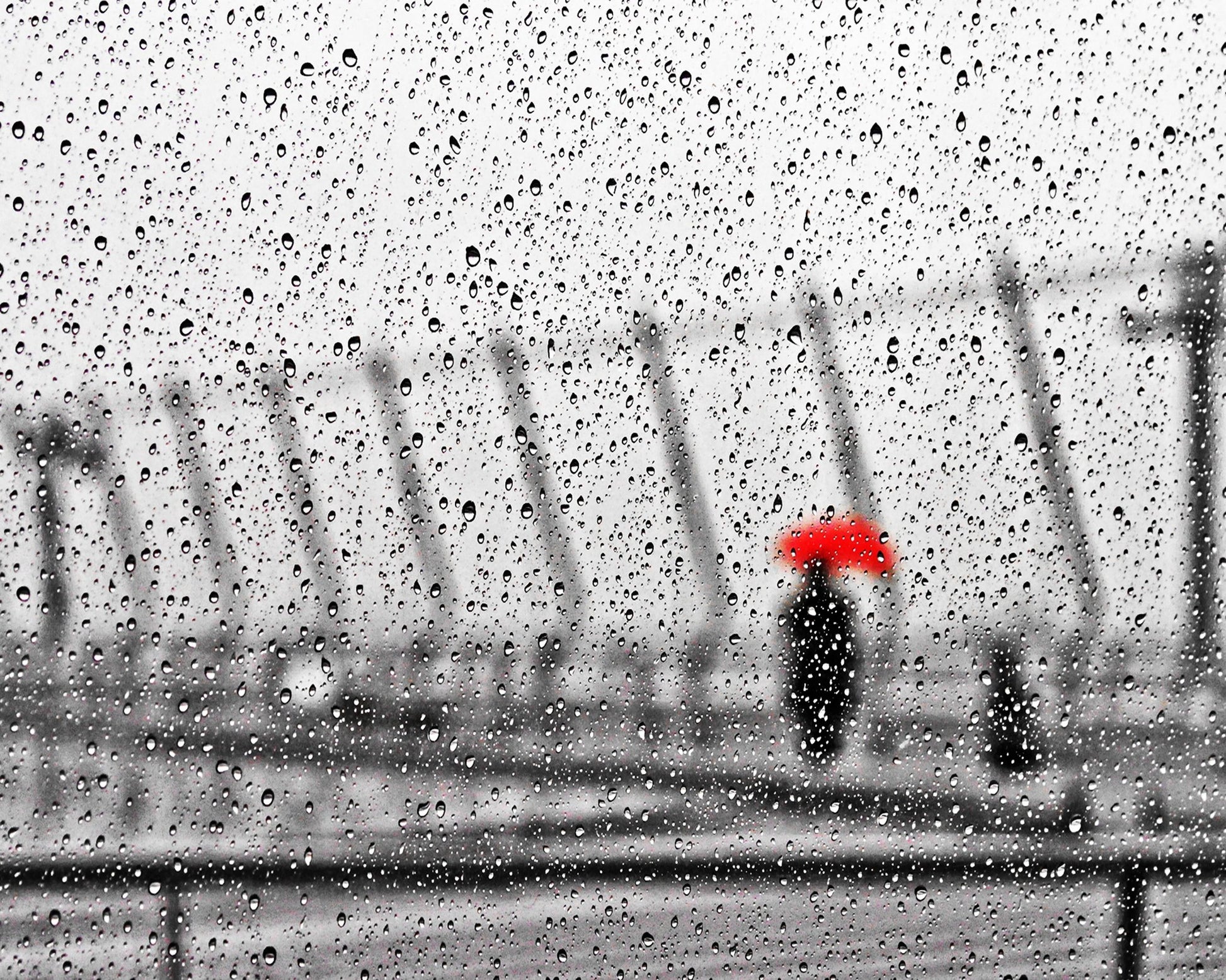 Rainy Day