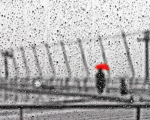 Rainy Day