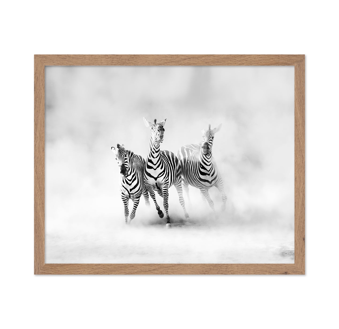 Three Zebras
