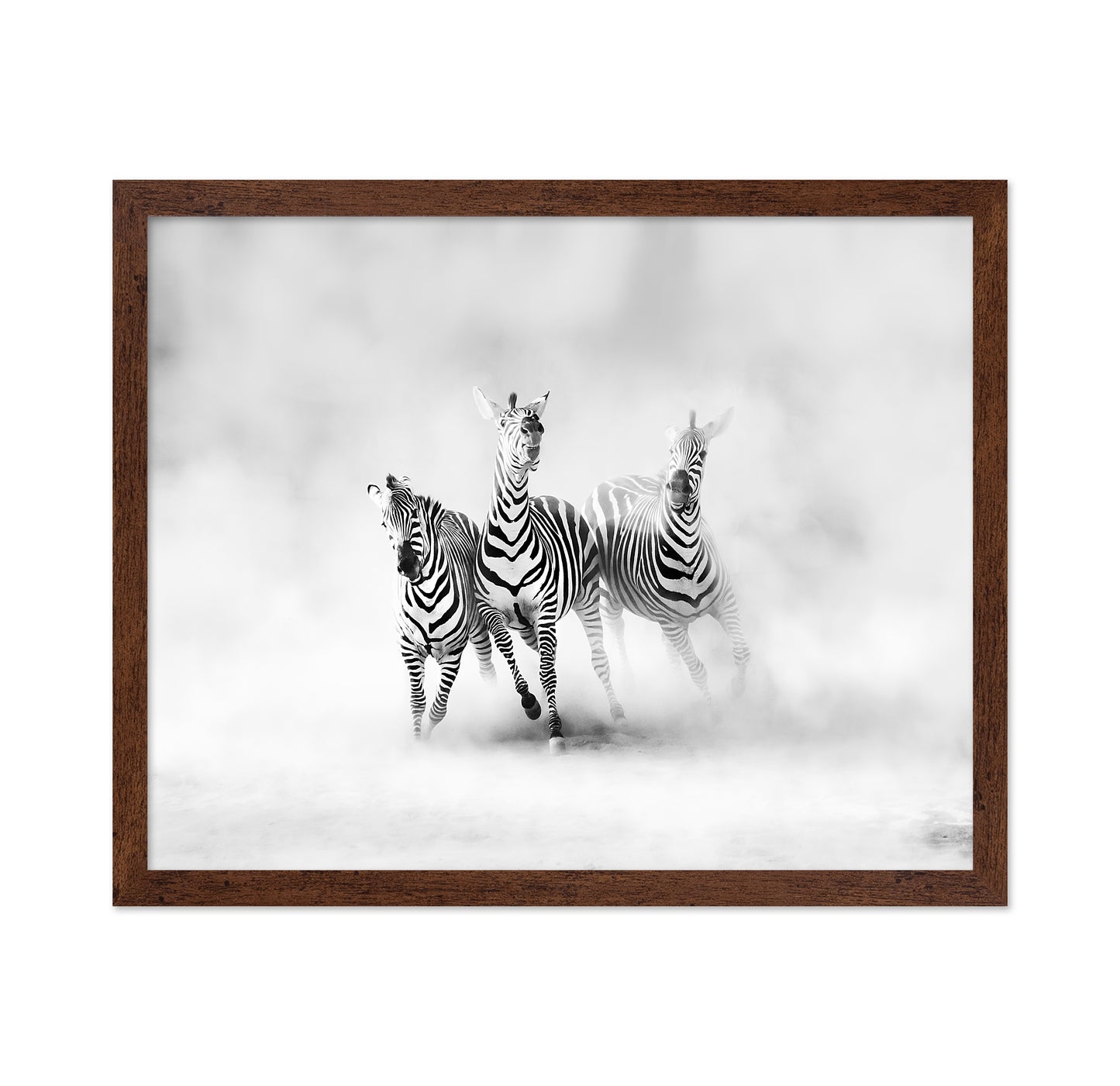 Three Zebras