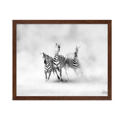 Three Zebras