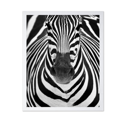 Zebra No 2