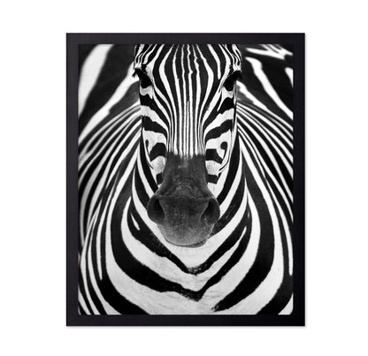 Zebra No 2