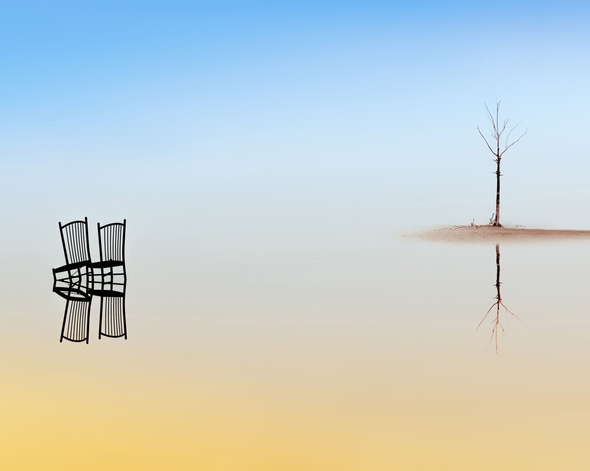 Two Chairs and a Tree