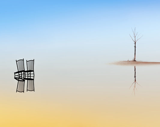 Two Chairs and a Tree