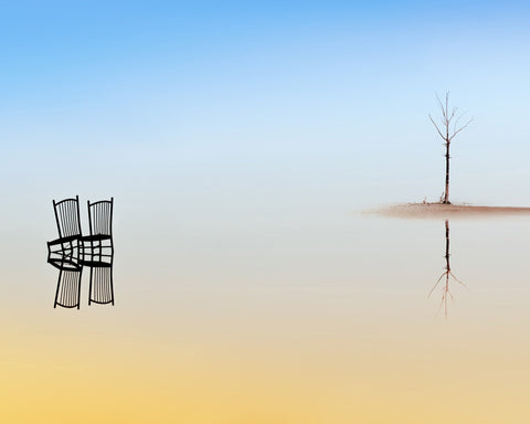 Two Chairs and a Tree