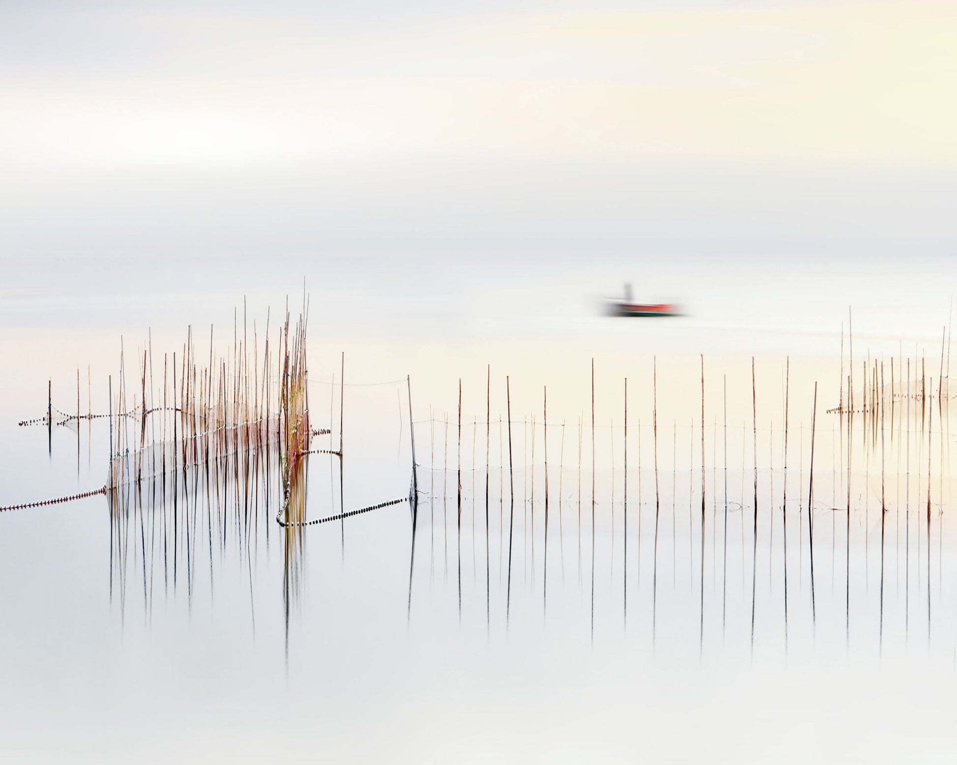 The Boat