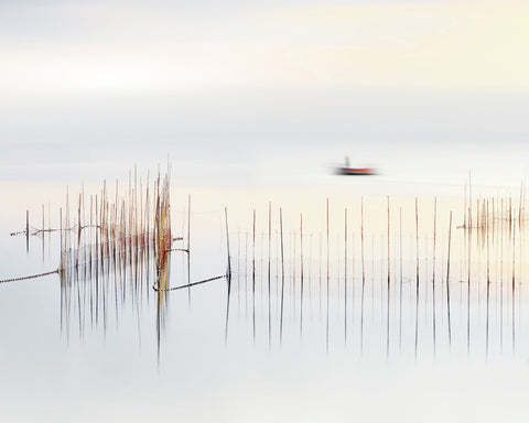 The Boat