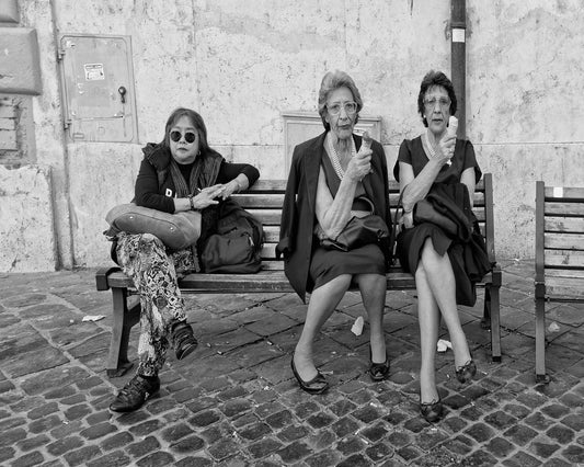 The Bench