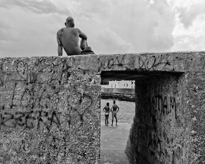 The Observer