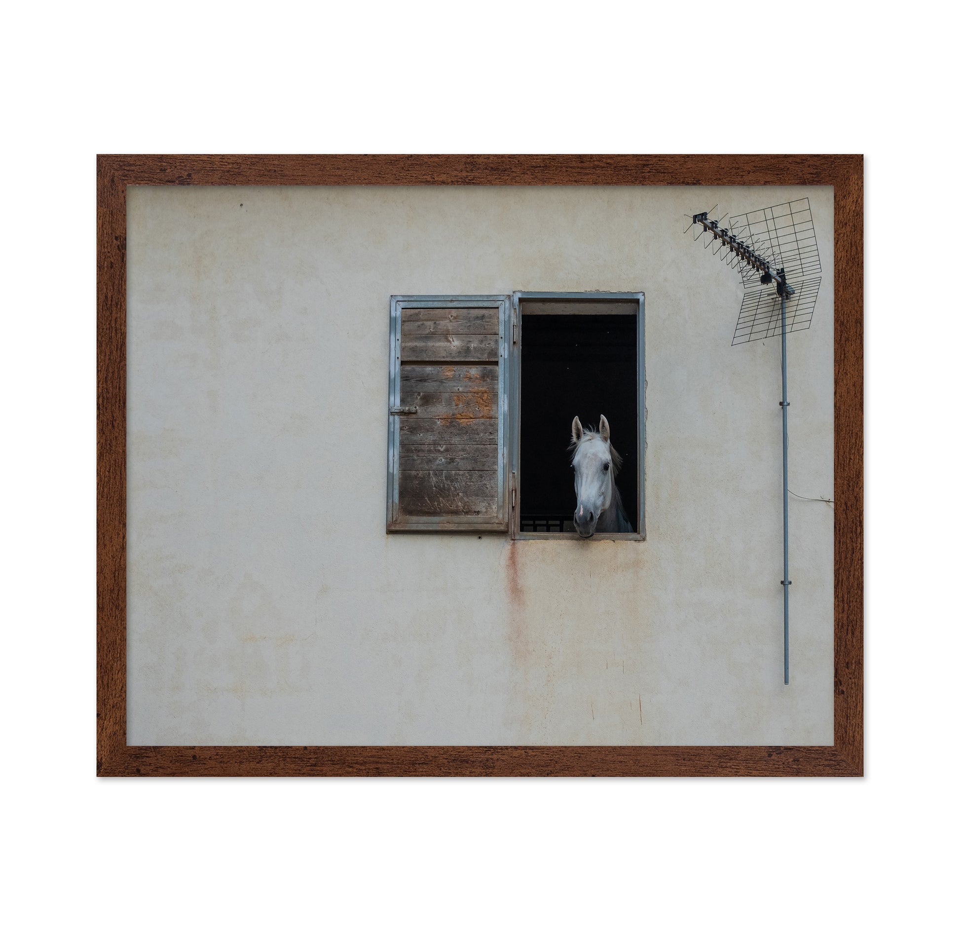 The Window