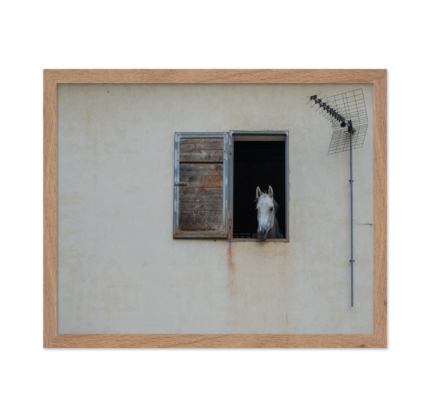 The Window