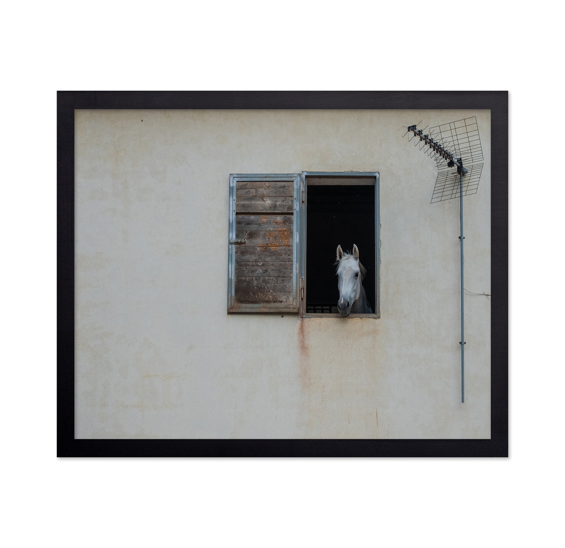 The Window